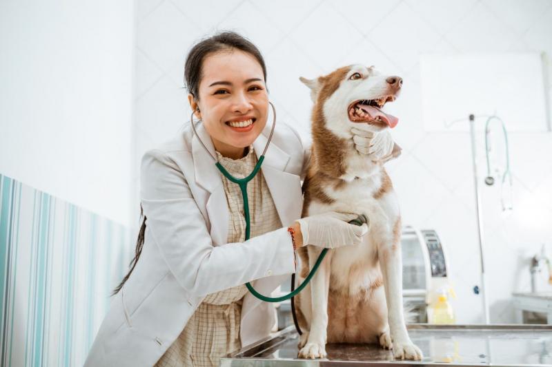 Guia Completo sobre Exame para Cachorro: Tudo que Você Precisa Saber