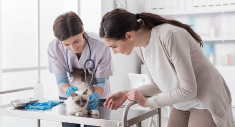Clínica com Internação Exclusiva para Gato Três Lagoas - Clínica para Pets