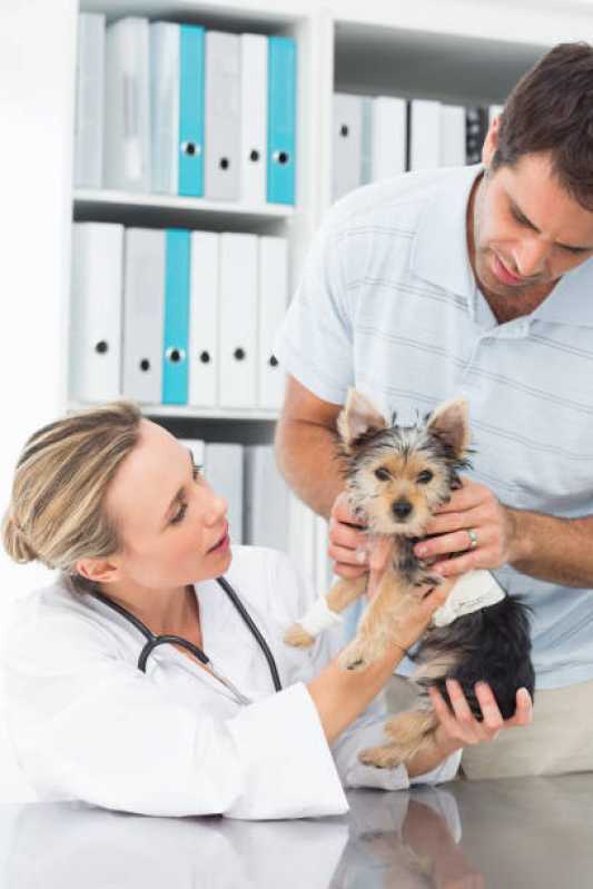 Clínica com Internação Veterinária Flora - Clínica para Cães