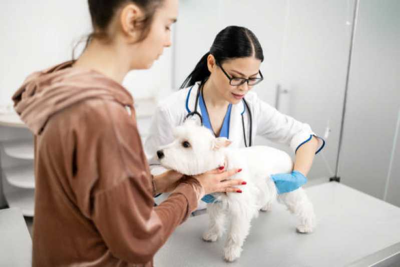 Clínica para Cães Contato Pradense - Clínica para Pets