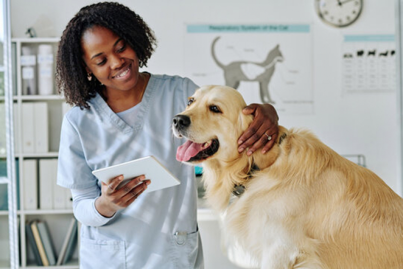 Clínica Que Faz Internação para Cachorros Interlagos - Internação Veterinaria 24h Garibaldi