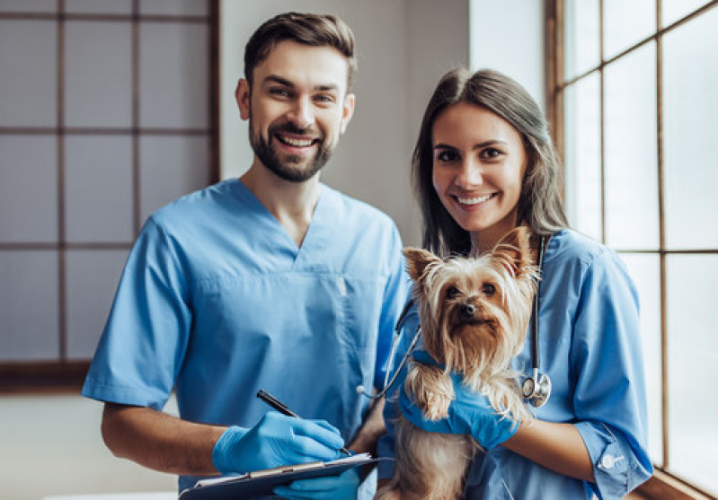 Clínica Que Faz Internação Veterinaria 24h Cinquentenário - Internação para Cachorros São Marcos
