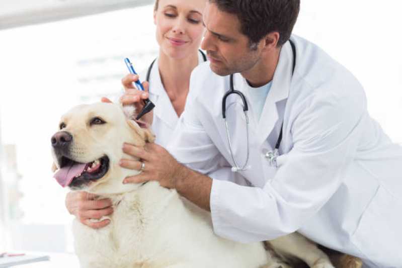 Clínica Veterinária para Cachorro Telefone Juventude - Clínica para Cães