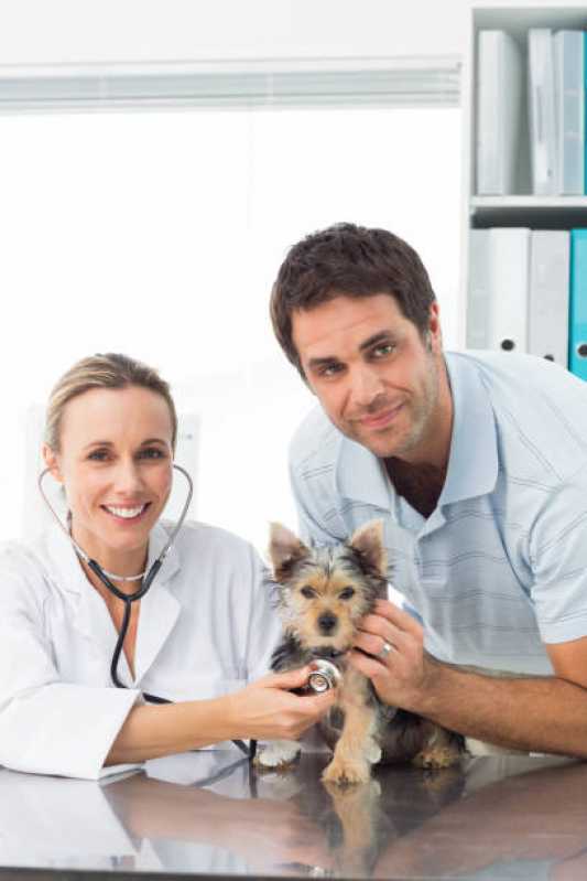Contato de Clínica com Internação Veterinária Universitário - Clínica para Pets