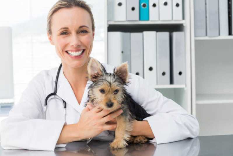 Telefone de Clínica com Internação Veterinária Maria Goretti - Clínica para Pets