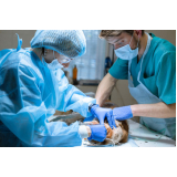 cirurgia ortopedica em cachorro Centro
