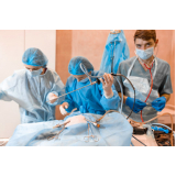 cirurgia reconstrutiva veterinária agendar Santa Catarina