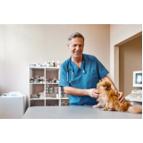 clinica de endocrinologia veterinária Desvio Rizzo