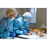 clínica que faz cirurgia reconstrutiva veterinária Glória