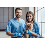 clínica que faz internação veterinaria 24h Cinquentenário