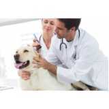clínica veterinária para cachorro telefone Feliz