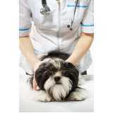 clínica veterinária para cachorro Nossa Senhora da Saúde