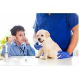 consulta emergencial para cachorro Feliz