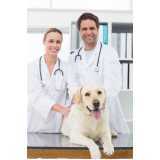contato de clínica veterinária para cachorro Parque dos Rodeios