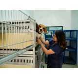 hospital para animais contato Santa Rita