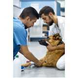 internação veterinária 24h para cães marcar São Bento