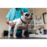 onde marcar consulta no veterinario Charqueadas