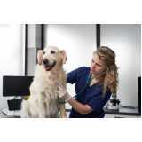 telefone de clínica veterinária para cachorro Charqueadas